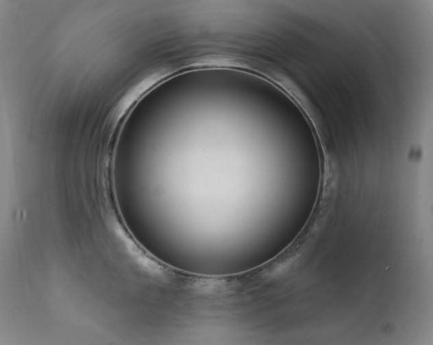 X0000111820909200907231315