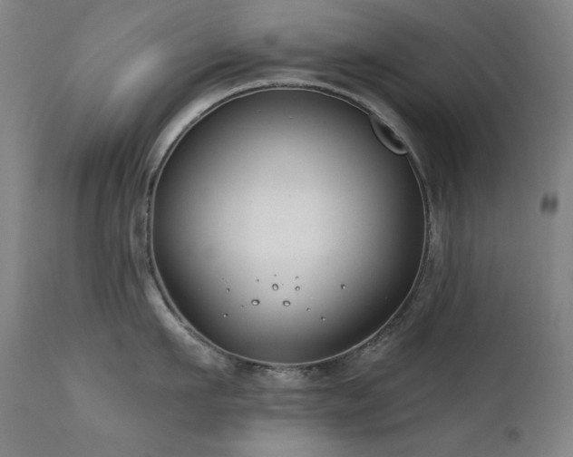 X0000111820911200907231315