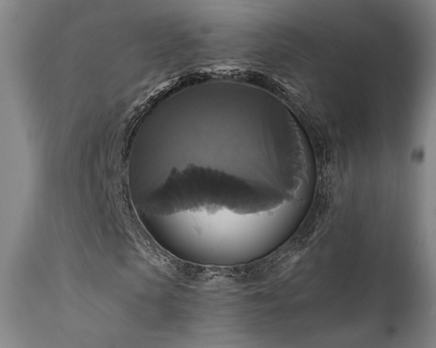 X0000111820913200907231314