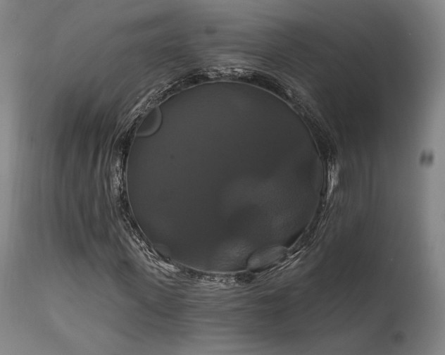 X0000111820915200907231314