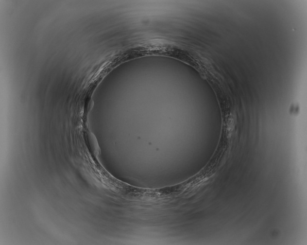 X0000111820916200907231314