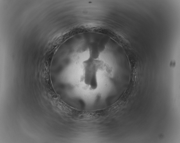 X0000111820917200907231314