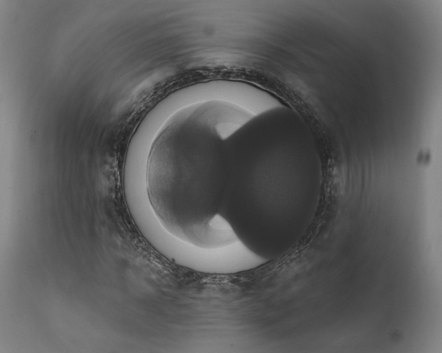X0000111820918200907231314
