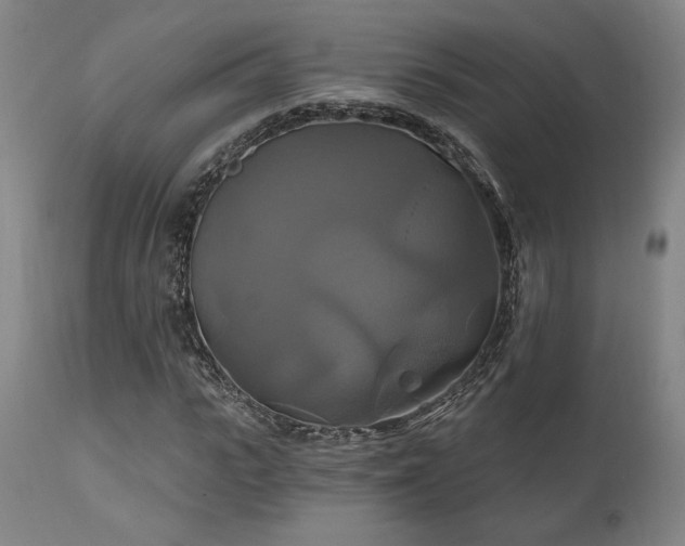 X0000111820919200907231314