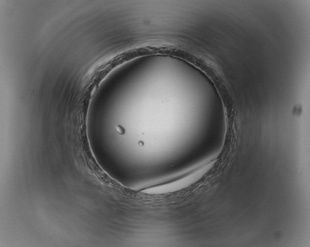 X0000111820920200907231314