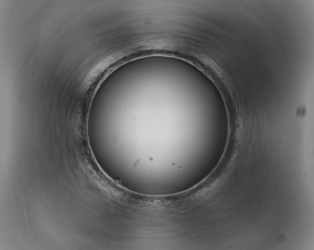 X0000111820922200907231314