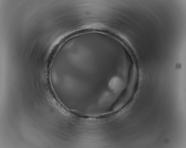 X0000111820923200907231314