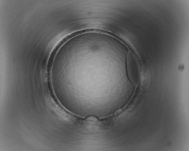 X0000111820924200907231314