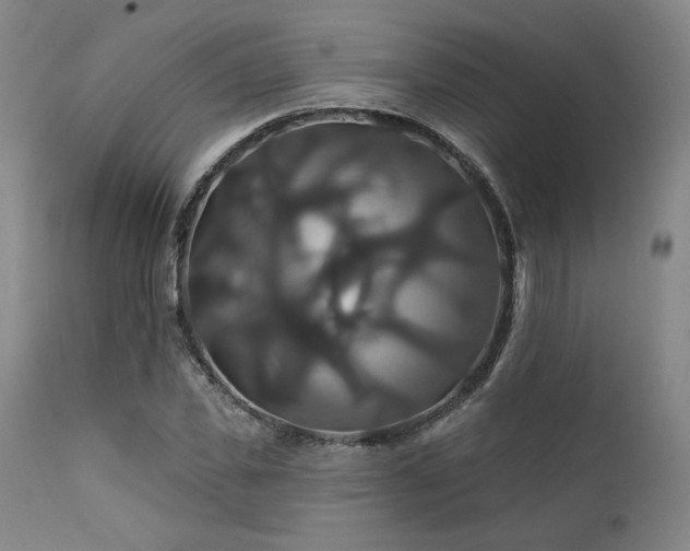 X0000111820925200907231314