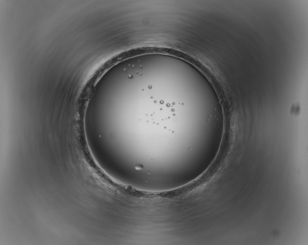 X0000111820926200907231314