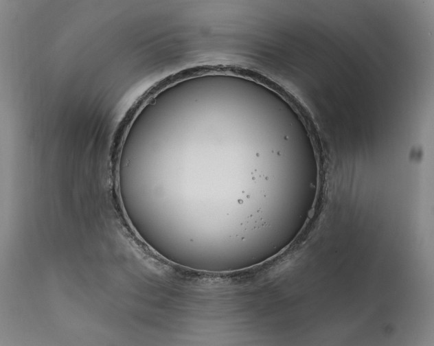 X0000111820927200907231314