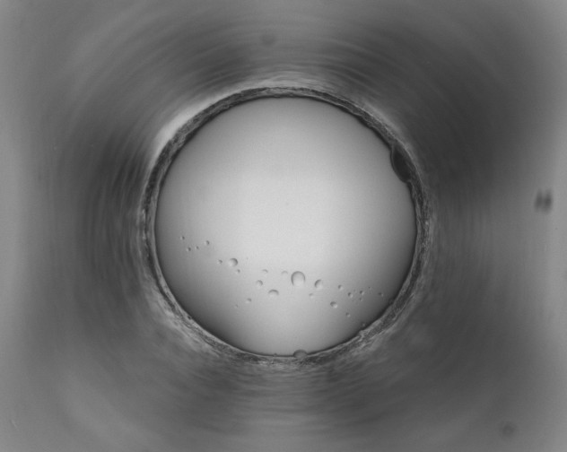 X0000111820928200907231314