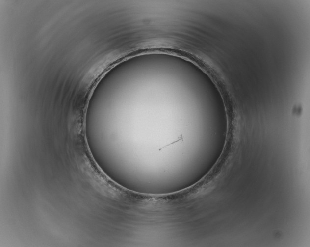 X0000111820929200907231314