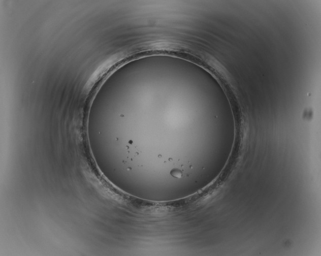 X0000111820930200907231314
