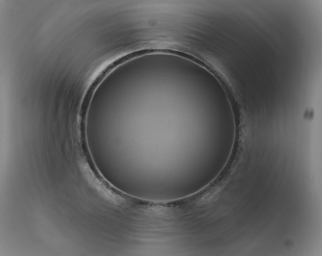 X0000111820932200907231314