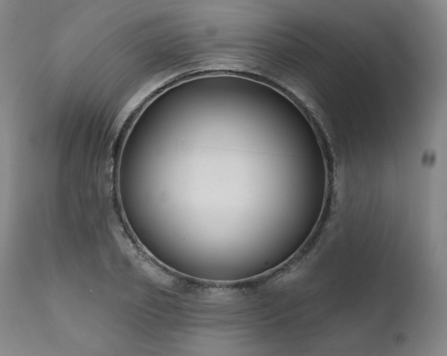 X0000111820933200907231314