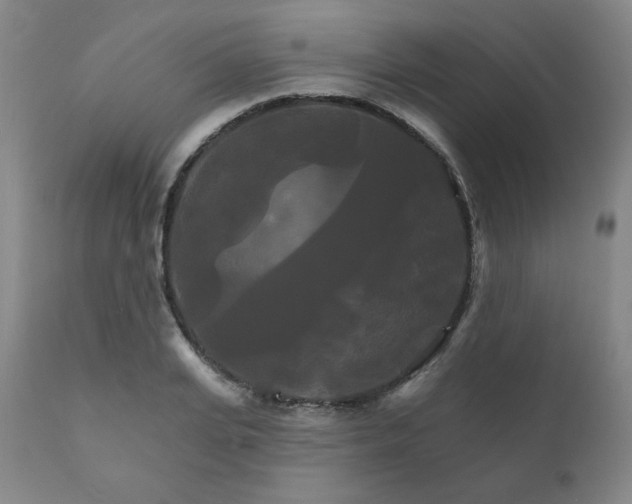 X0000111820935200907231314