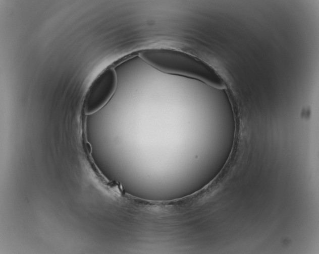X0000111820936200907231314