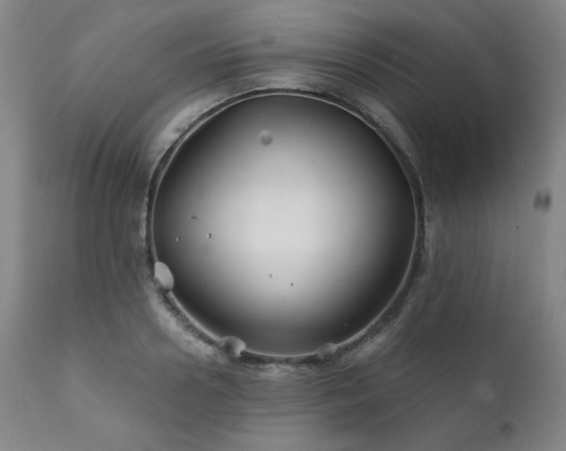 X0000111820938200907231314