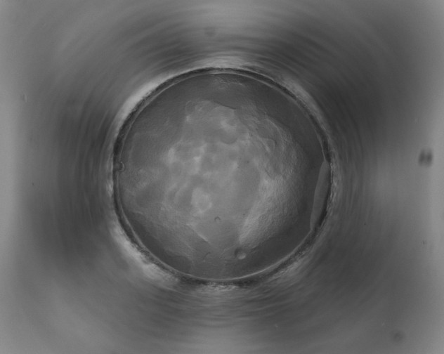 X0000111820939200907231314