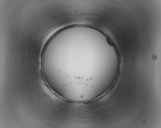 X0000111820940200907231314