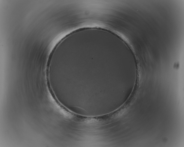X0000111820943200907231315