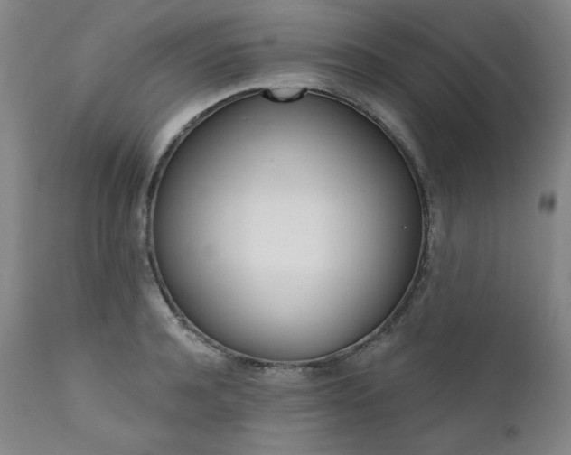 X0000111820944200907231315