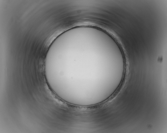 X0000111820945200907231315