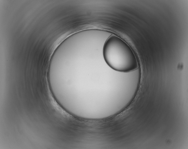 X0000111820946200907231315