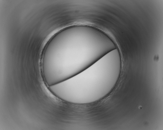 X0000111820947200907231315