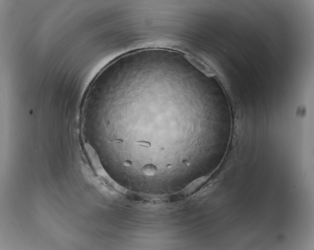 X0000111820948200907231315