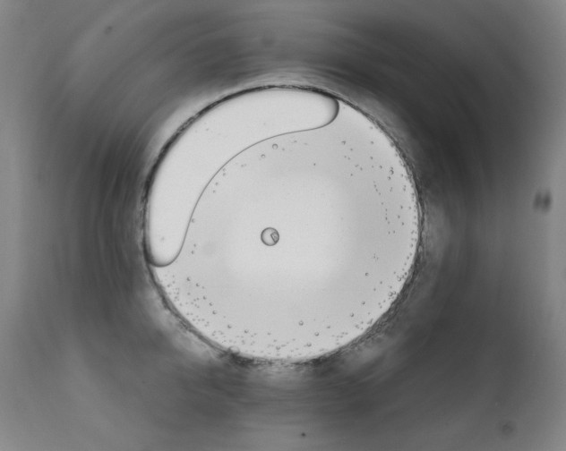 X0000111820950200907231315
