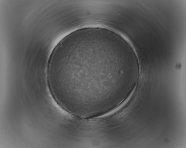 X0000111820951200907231315