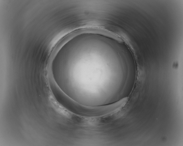 X0000111820952200907231315