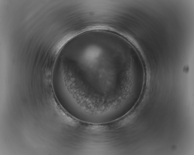 X0000111820953200907231315