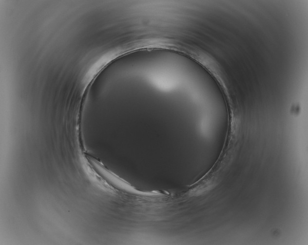 X0000111820954200907231315