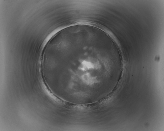 X0000111820955200907231315