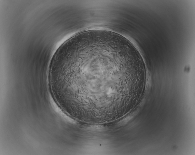 X0000111820957200907231315
