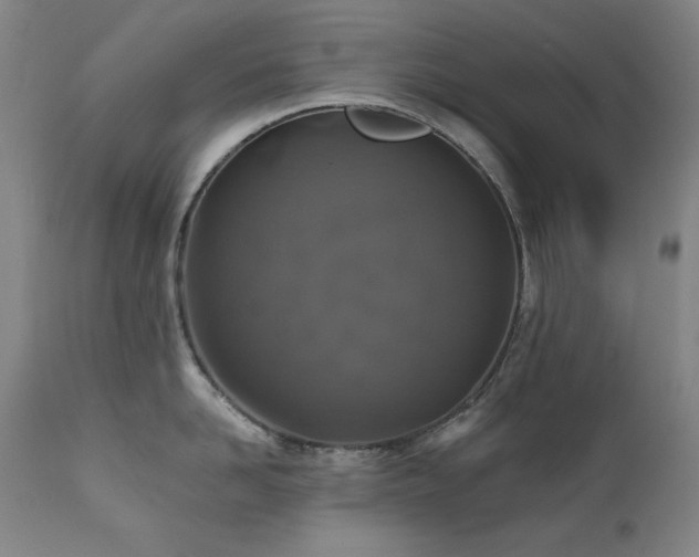 X0000111820958200907231315