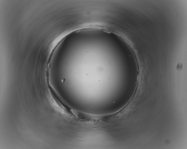 X0000111820960200907231315