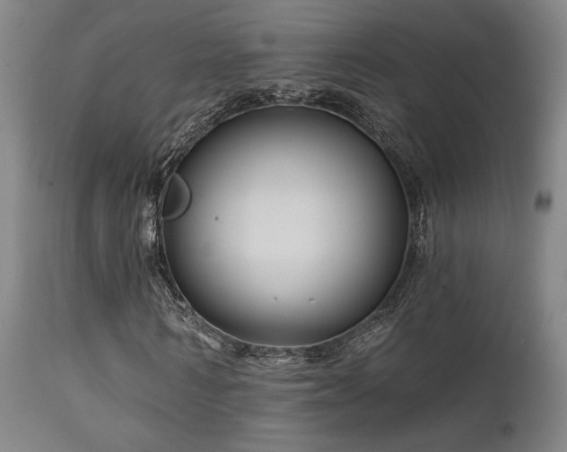X0000111820962200907231314
