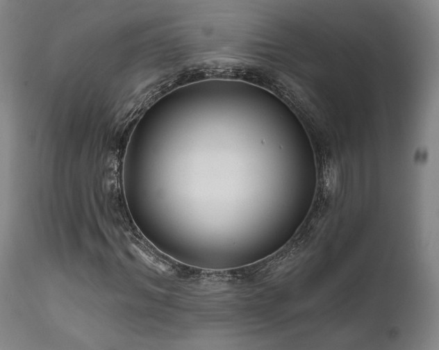 X0000111820964200907231314