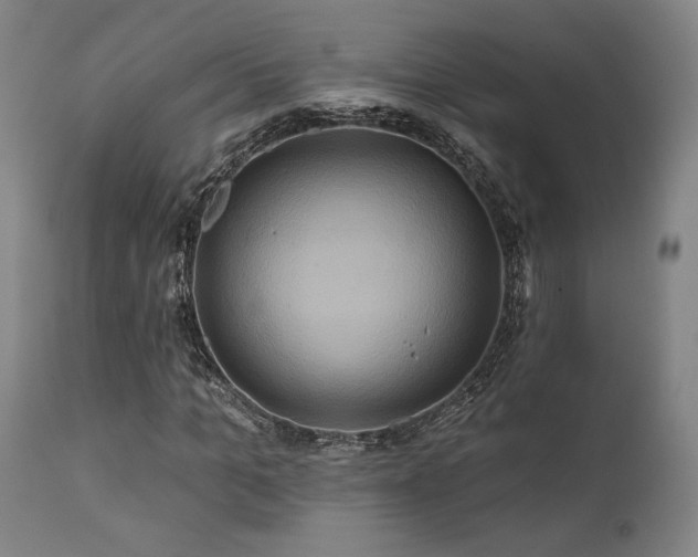 X0000111820965200907231314