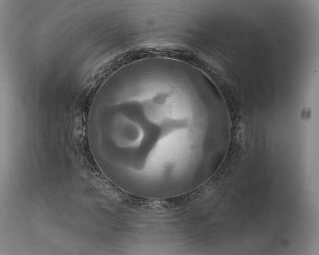 X0000111820966200907231314