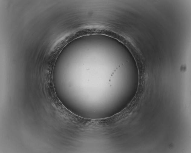 X0000111820967200907231314