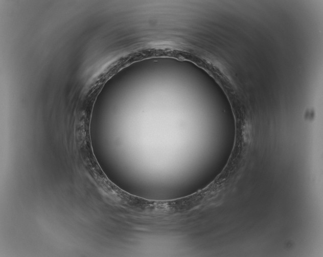X0000111820968200907231314