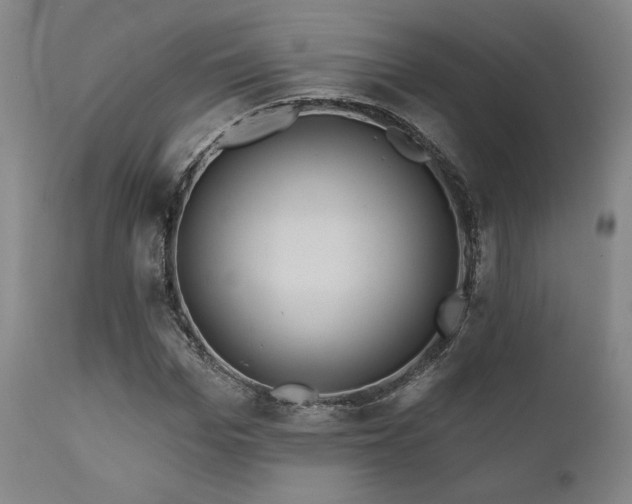 X0000111820969200907231314