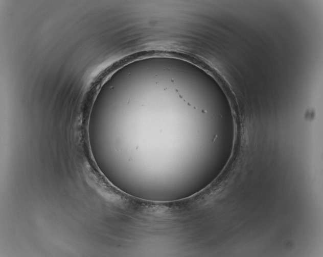 X0000111820971200907231314