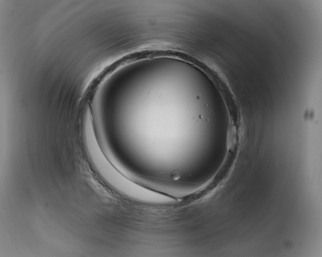 X0000111820973200907231314