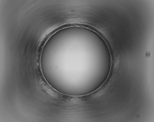 X0000111820974200907231314